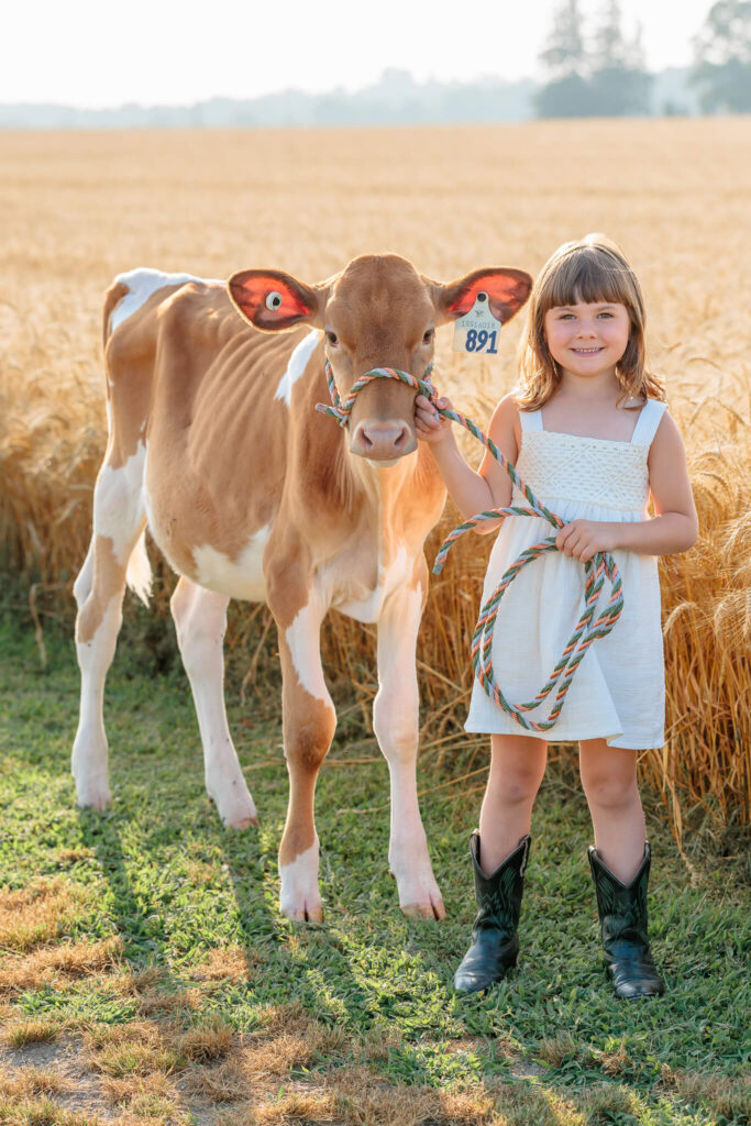 Girl standing beside her brown-and-white dairy calf in a golden wheat field during a family photography session in Thamesford, Ontario.