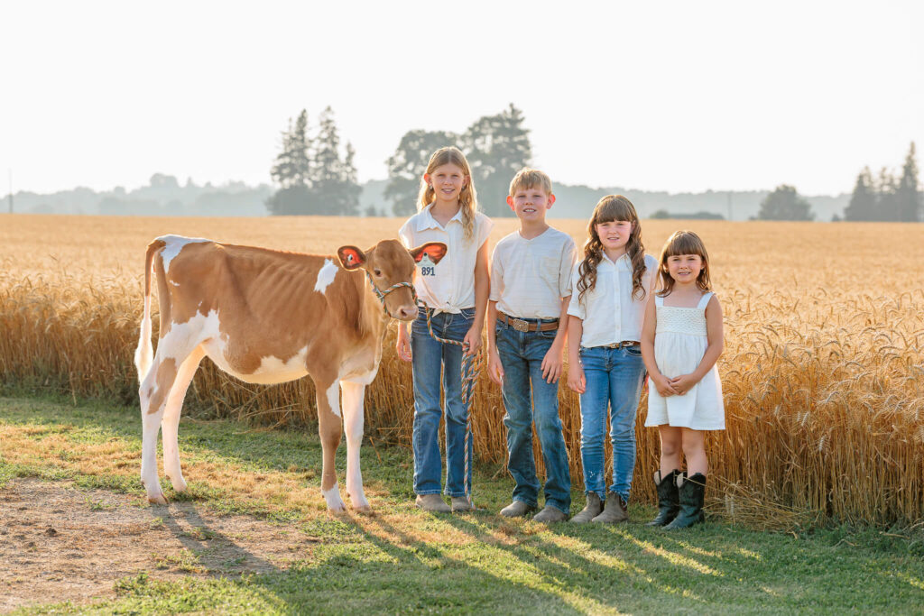 Four siblings posing together with their dairy calf in a golden wheat field during sunset.