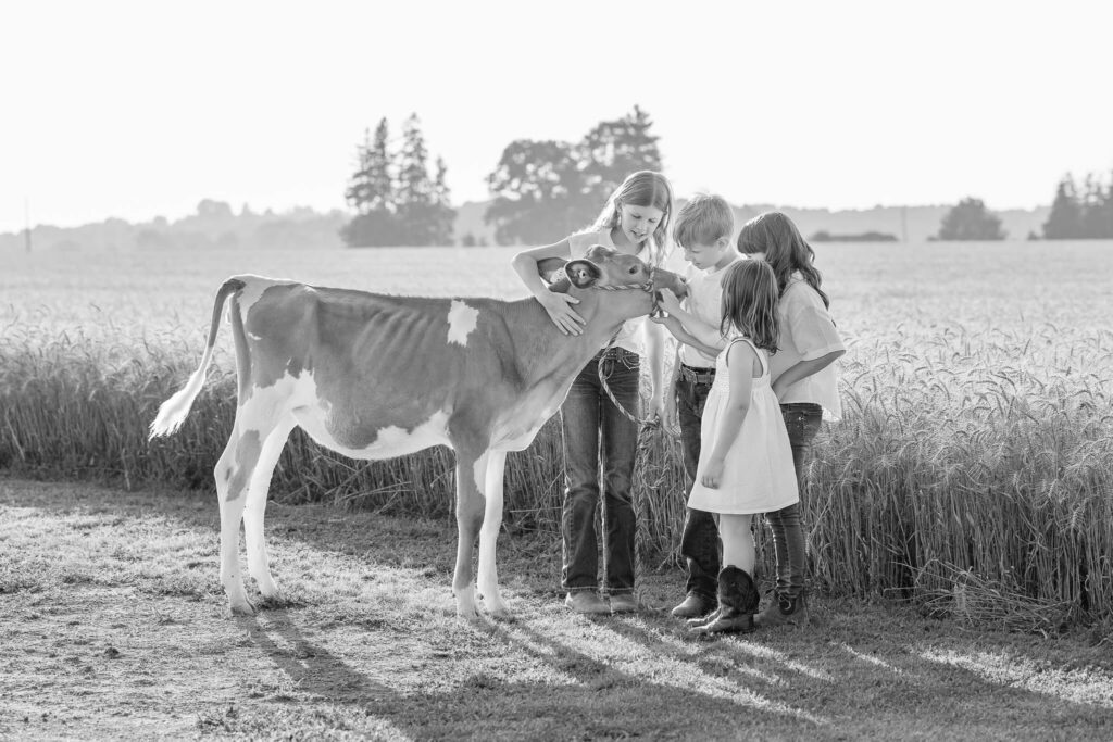 Black and white sibling portrait with children gathered around their dairy calf on the family farm.