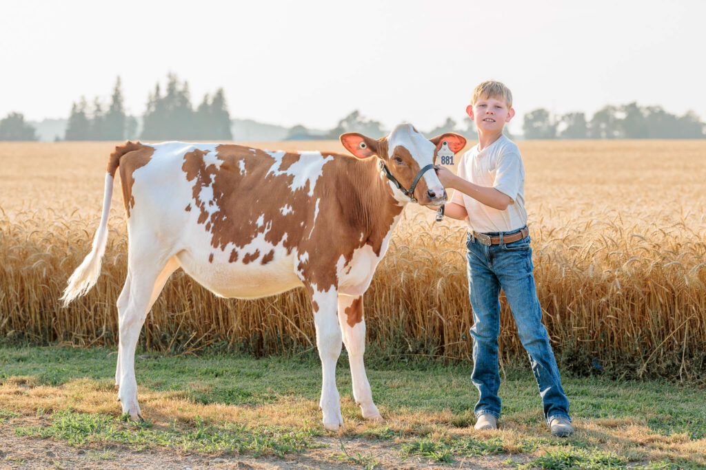 Young boy standing confidently with a 4H calf during a family photography session.