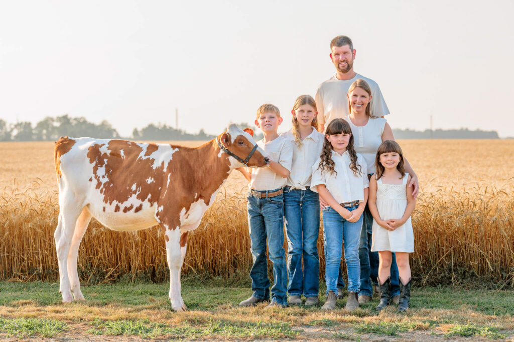 Family of five posing with a dairy cow during a sunset farm photography session.