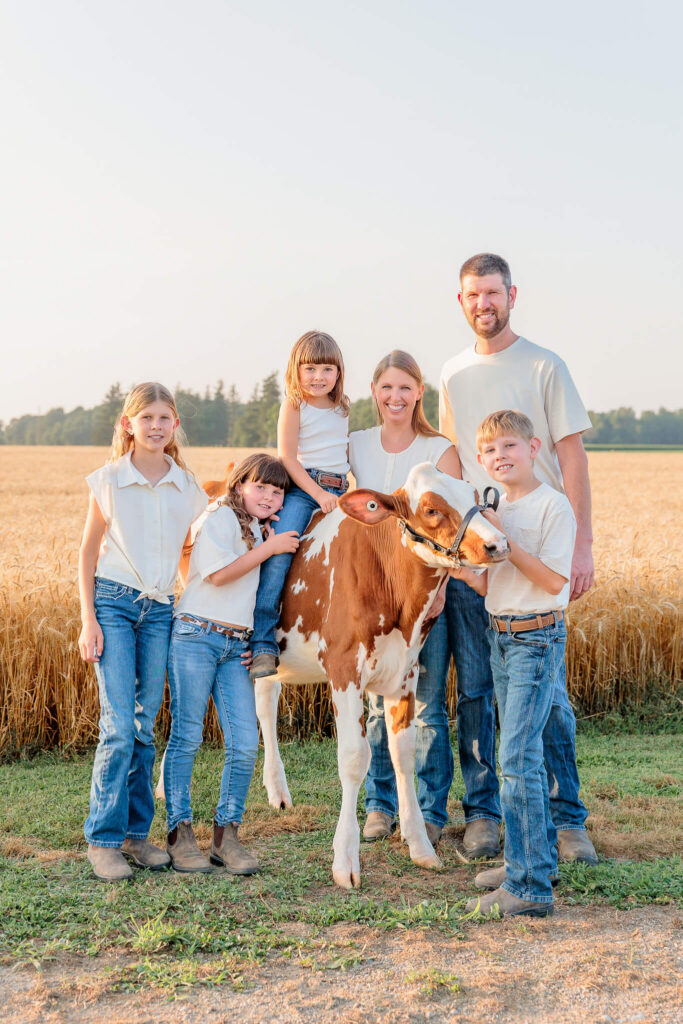 Family of five gathered around their brown-and-white dairy calf in a golden wheat field.